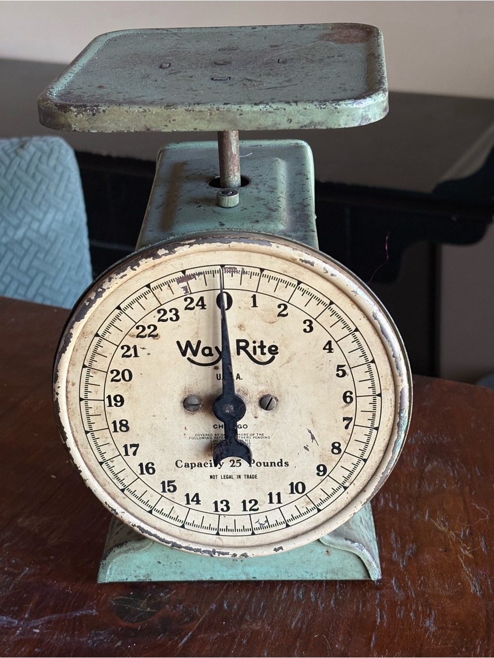 Vintage Mint Green Farmhouse Rustic Kitchen Scale Works